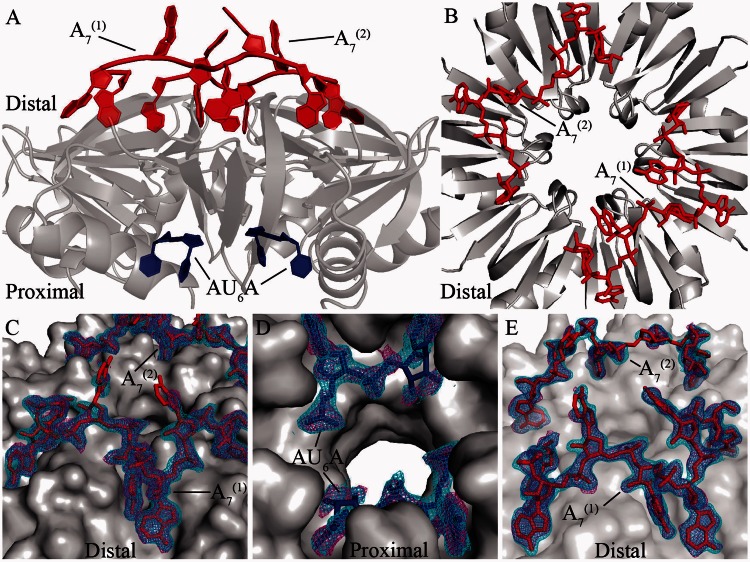 Figure 2.