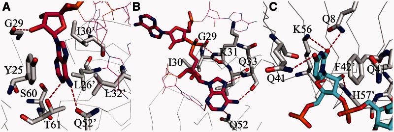 Figure 3.