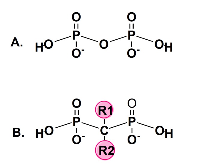 Fig. (3)