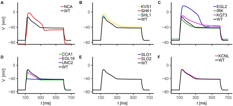 Fig 6