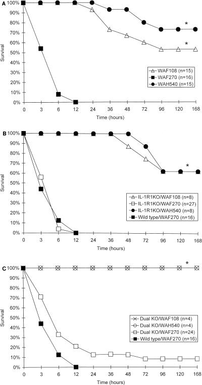 FIG. 7