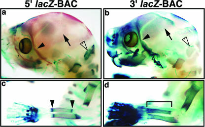 FIG. 4.