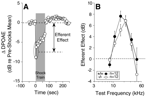 FIG. 6