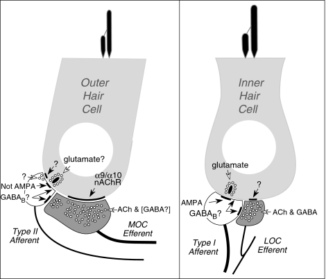 FIG. 9