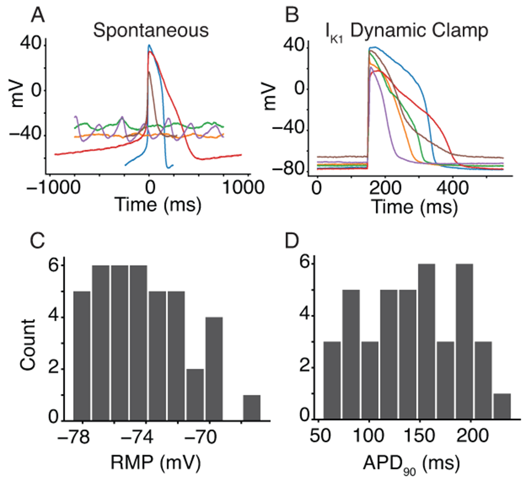 Figure 3.