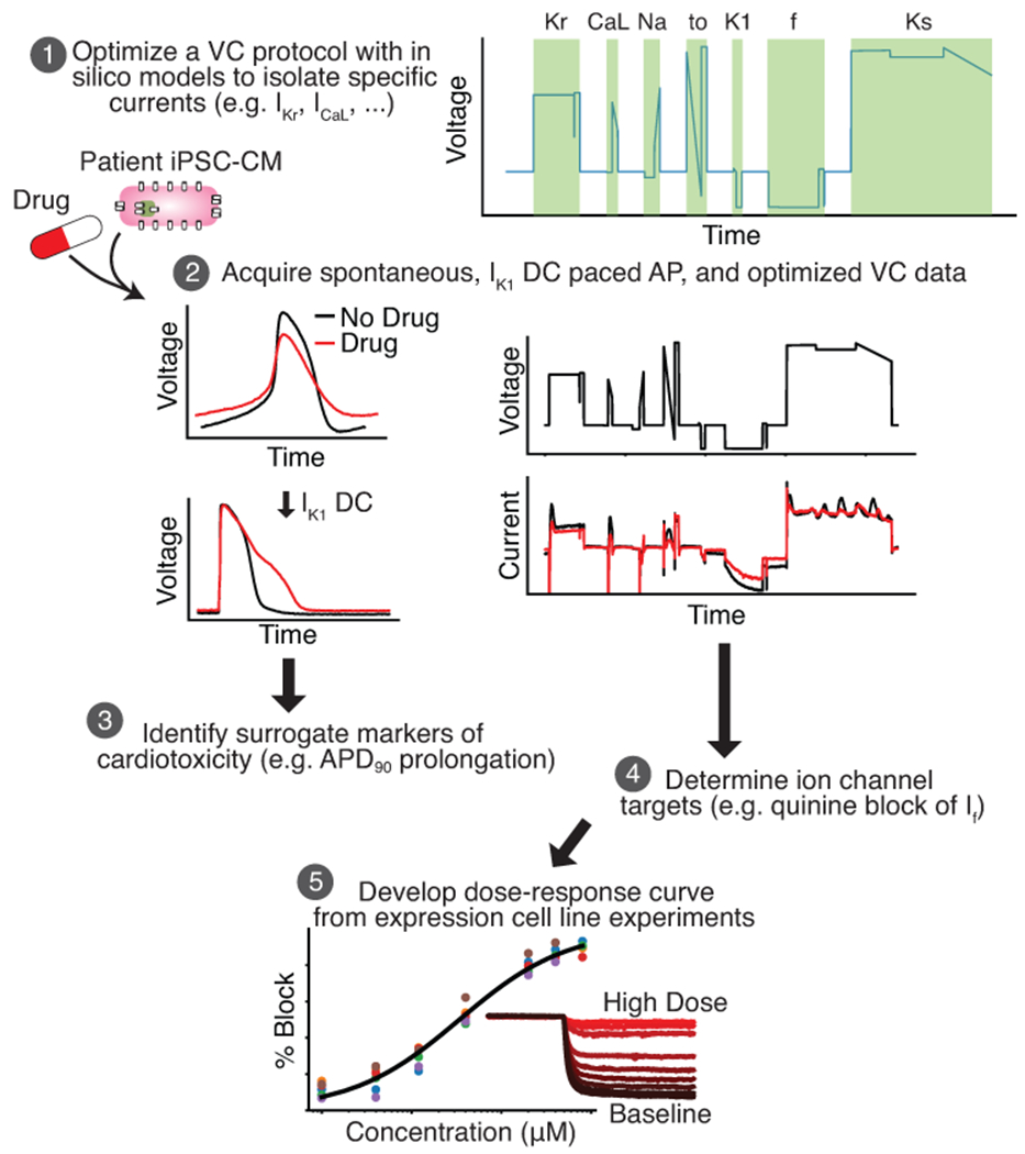 Figure 1: