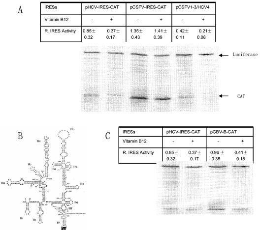 FIG. 4.