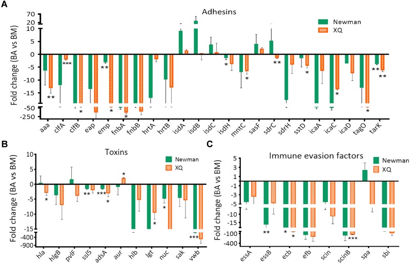 FIGURE 3