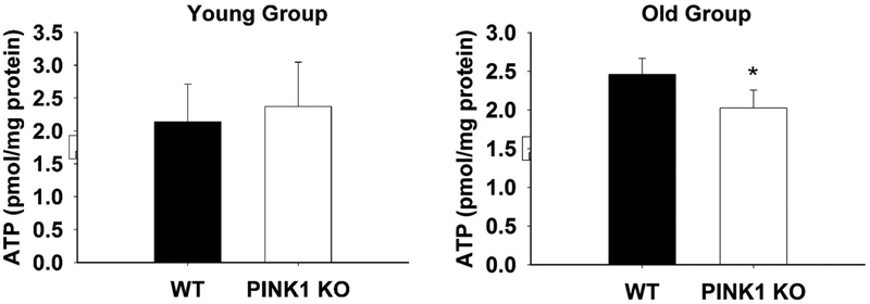 Fig. 5.