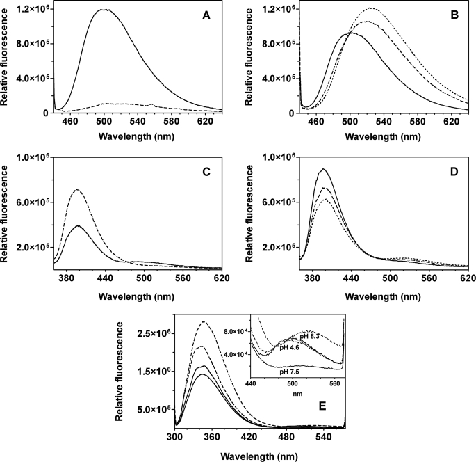 FIGURE 6.