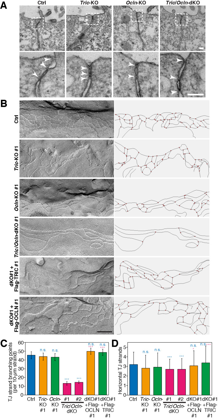 FIGURE 3: