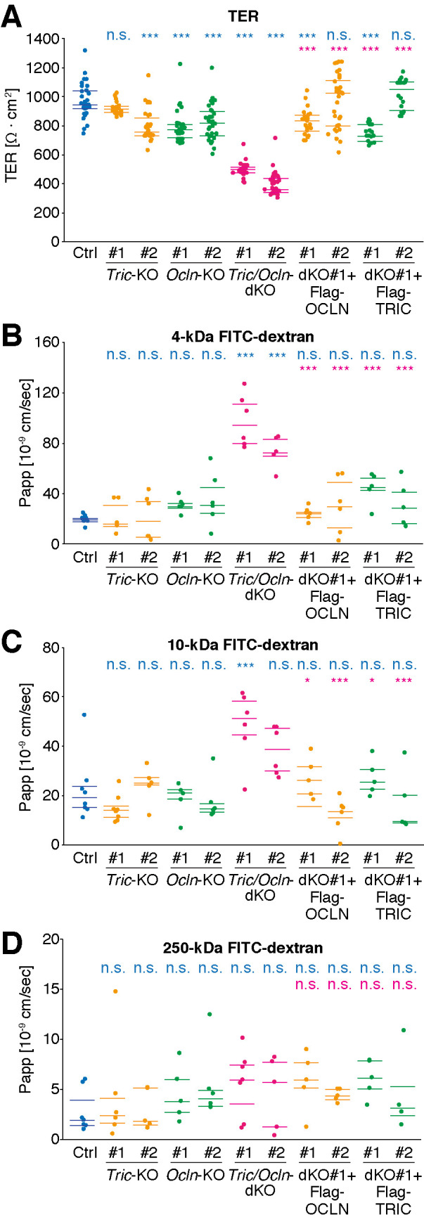 FIGURE 4: