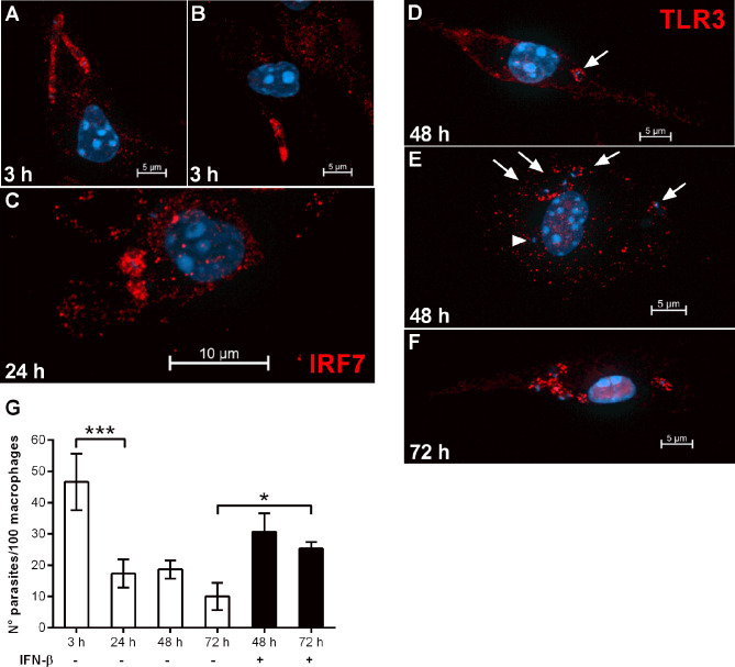 Figure 6