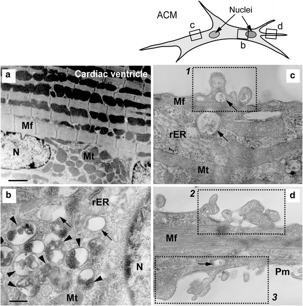 Fig. 4