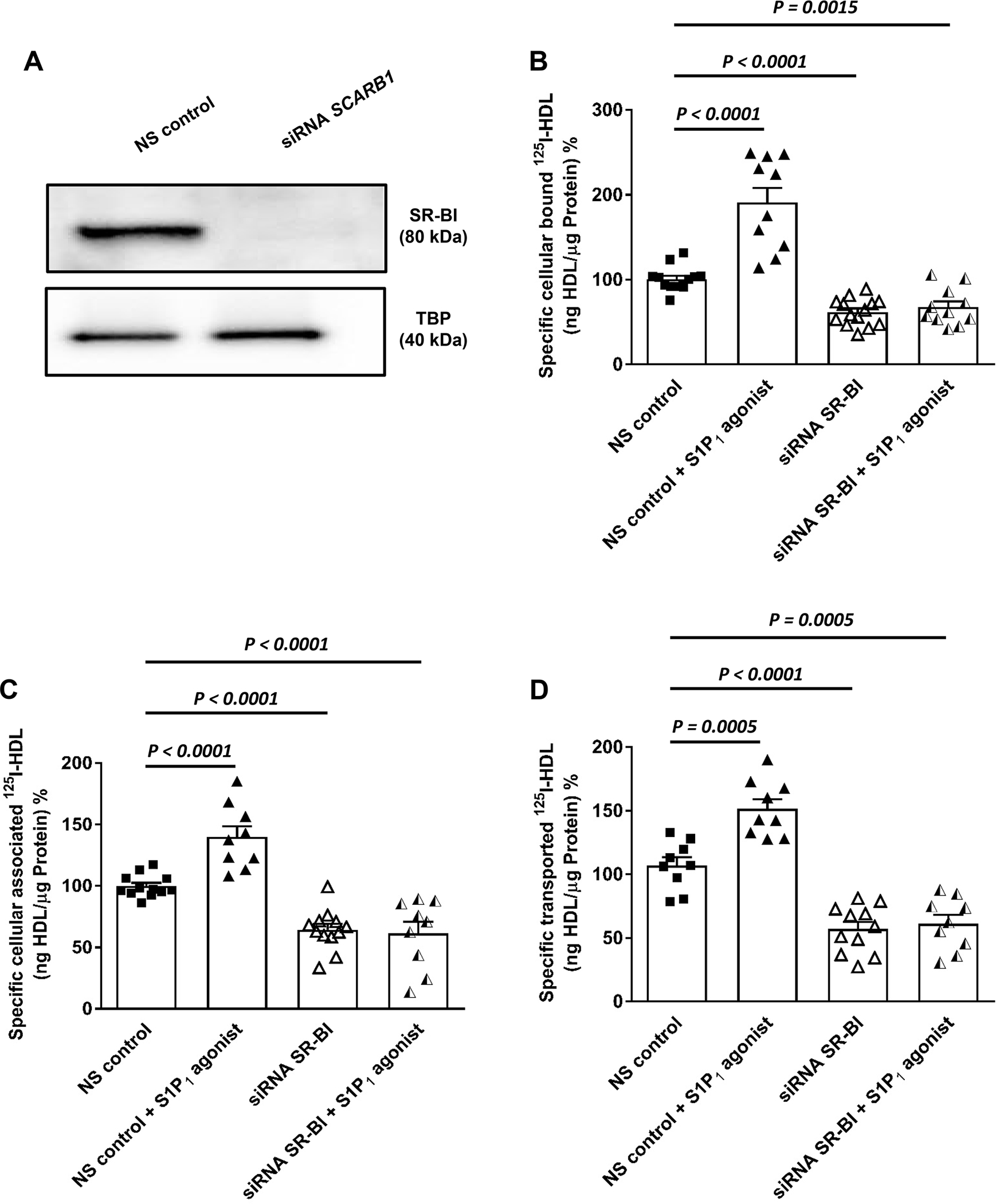 Figure 4: