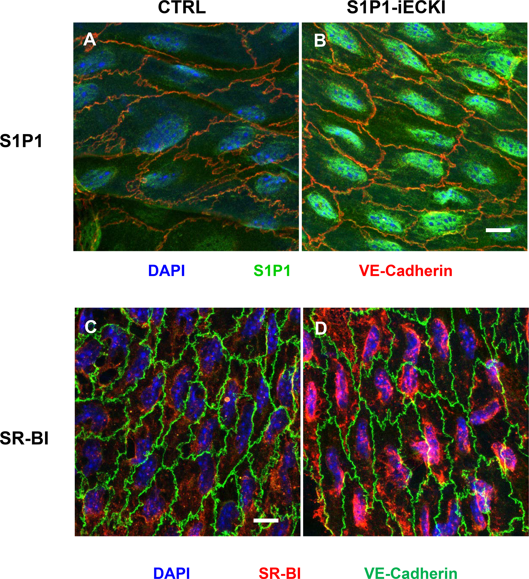 Figure 6: