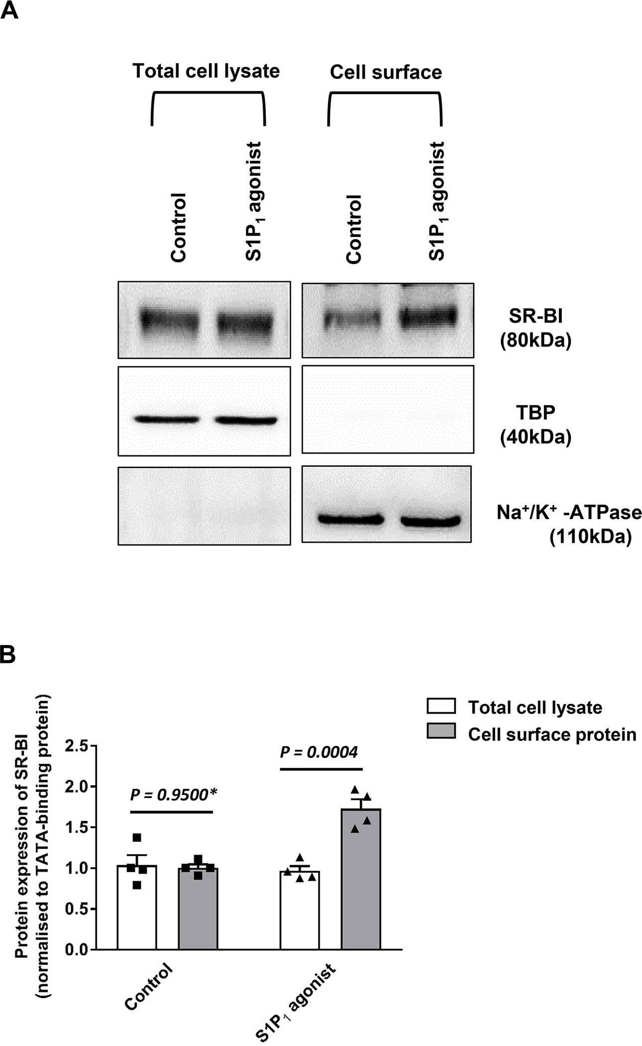 Figure 5: