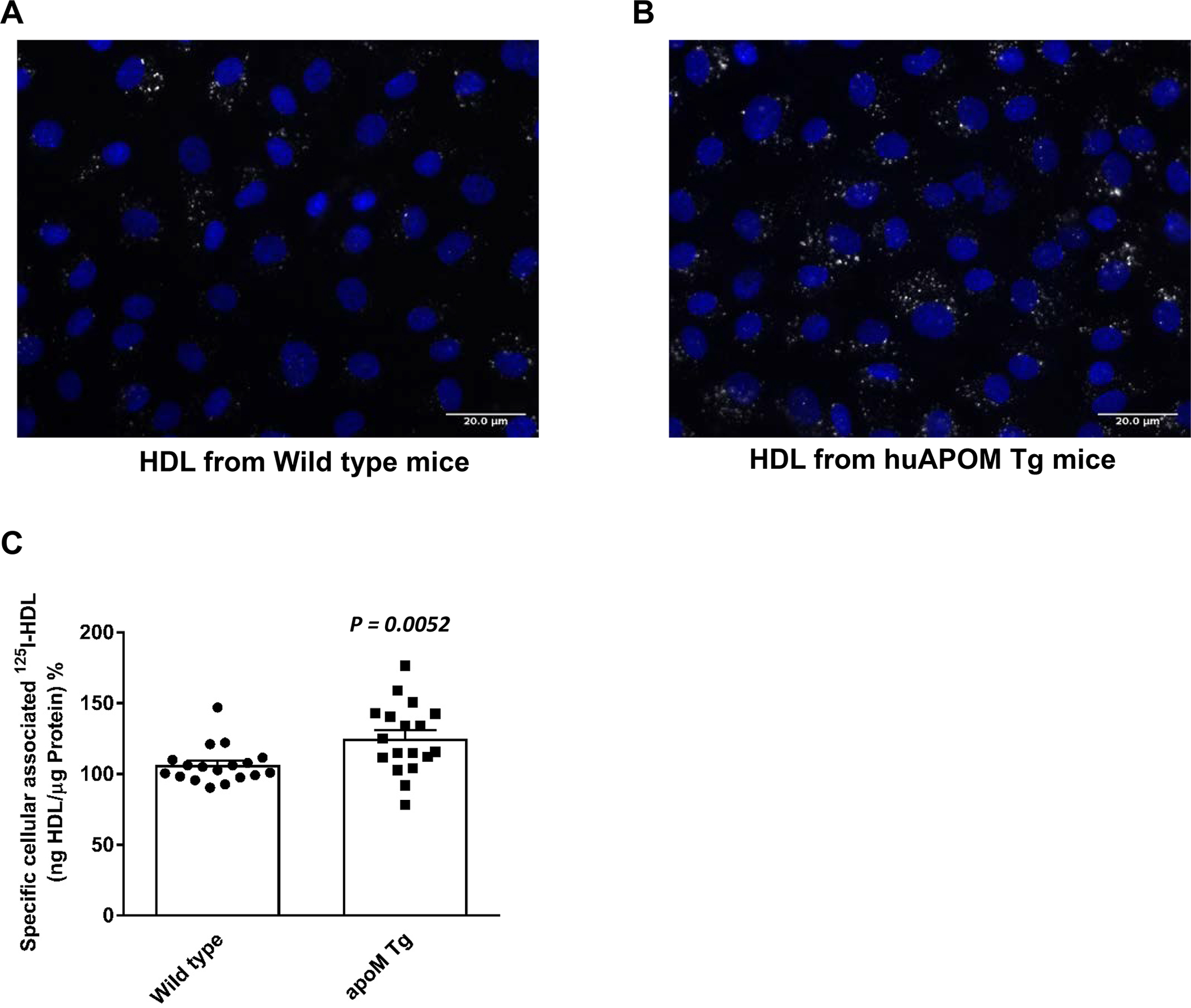 Figure 2: