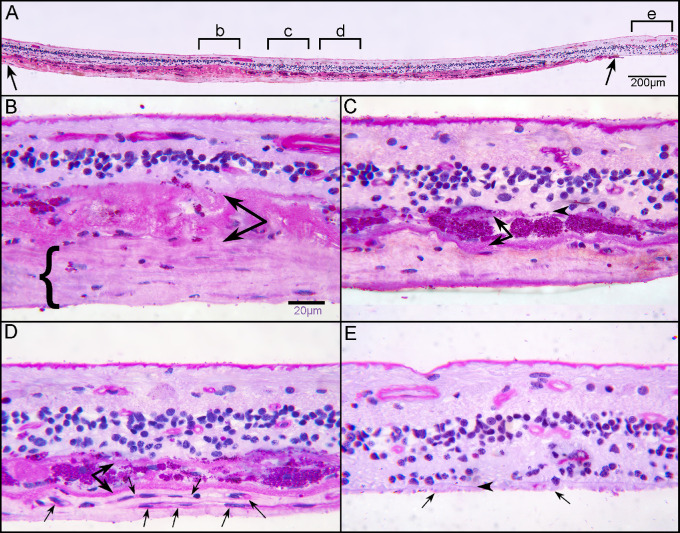 Figure 13.