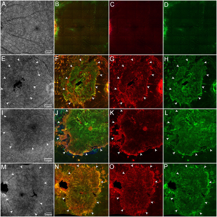 Figure 10.