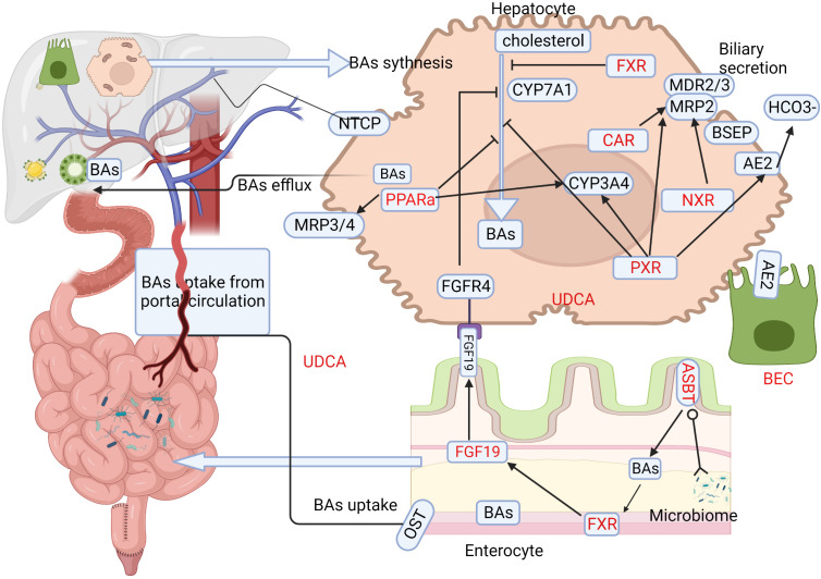 Figure 2