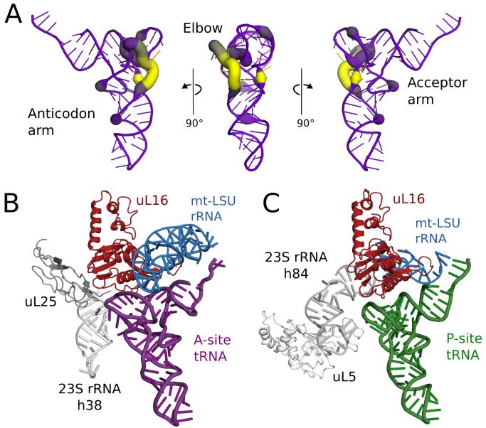 Fig. 4