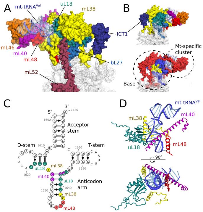 Fig. 3