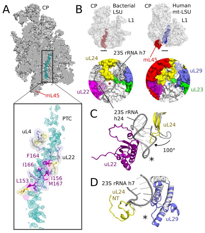 Fig. 6