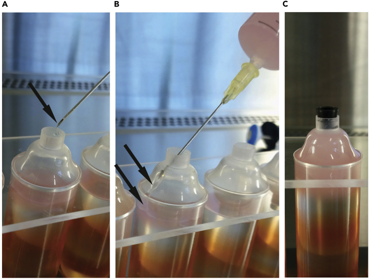 Figure 2