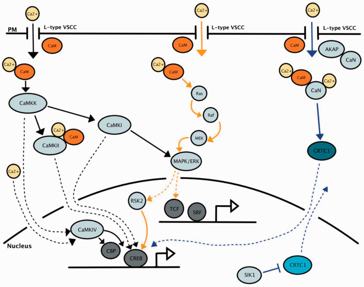 Figure 2.
