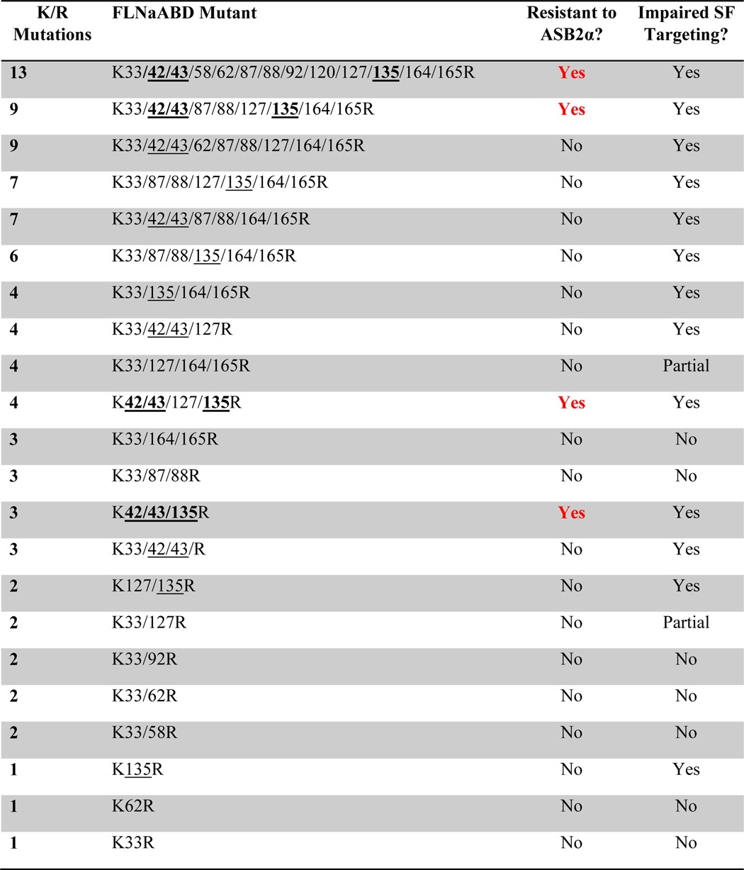 graphic file with name zbc049136672t001.jpg