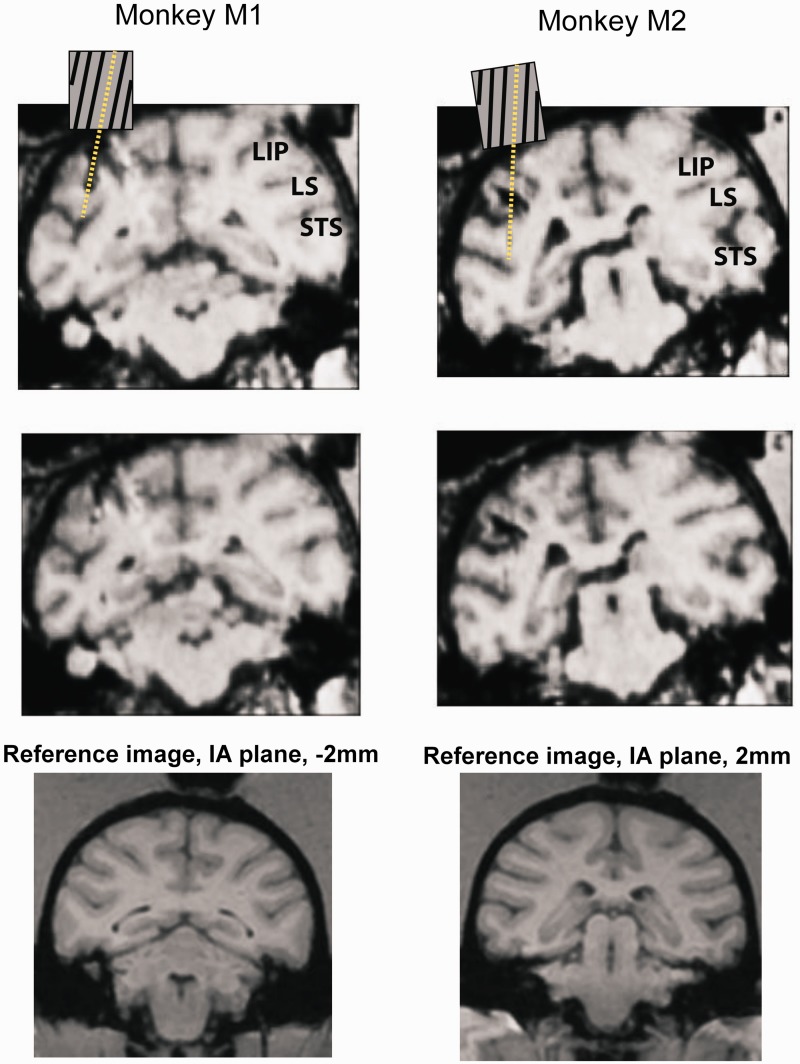 Fig. 3