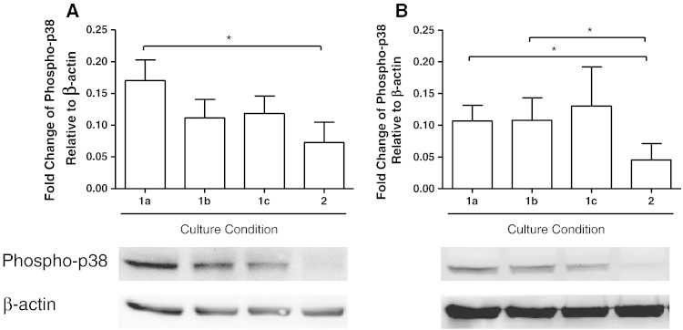 Fig. 6