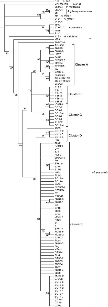 FIG.1.