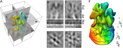 Fig. 2.