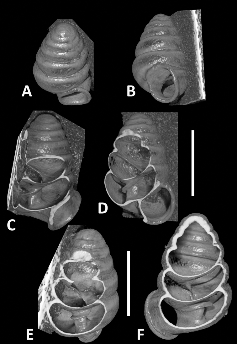 Figure 7.