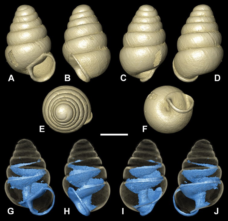 Figure 14.