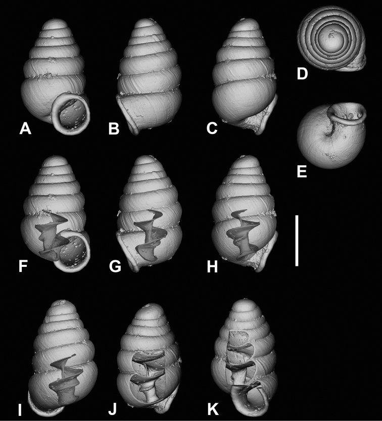 Figure 12.