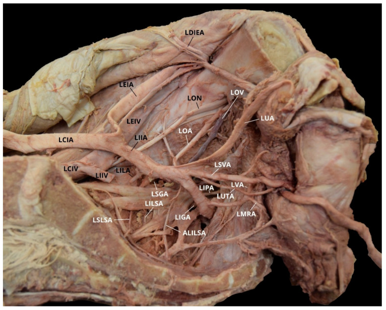 Figure 10