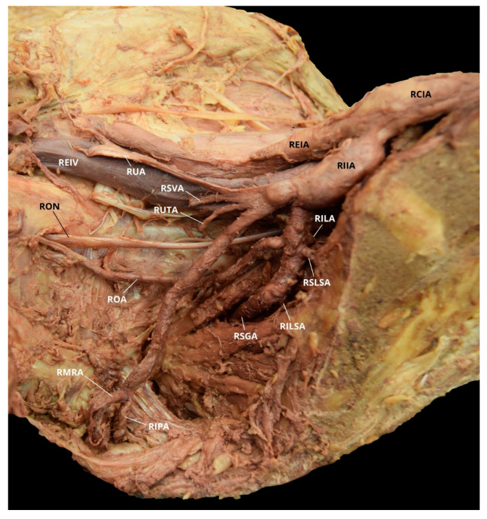 Figure 7