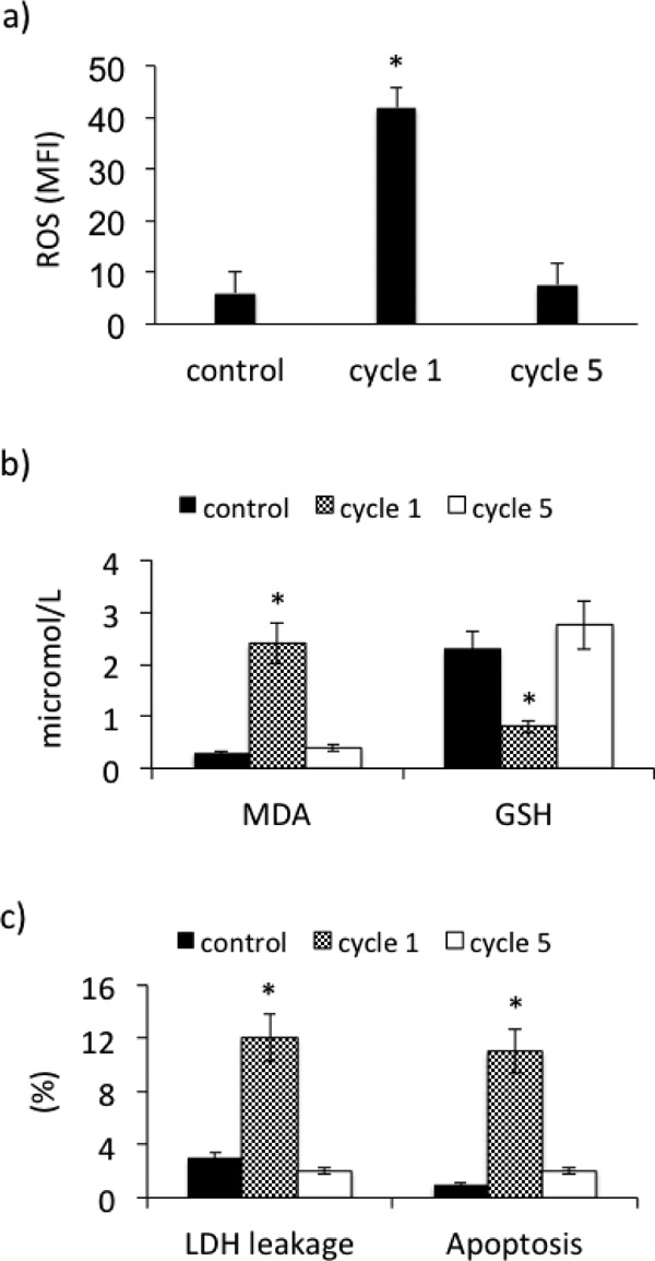 Fig. 7.