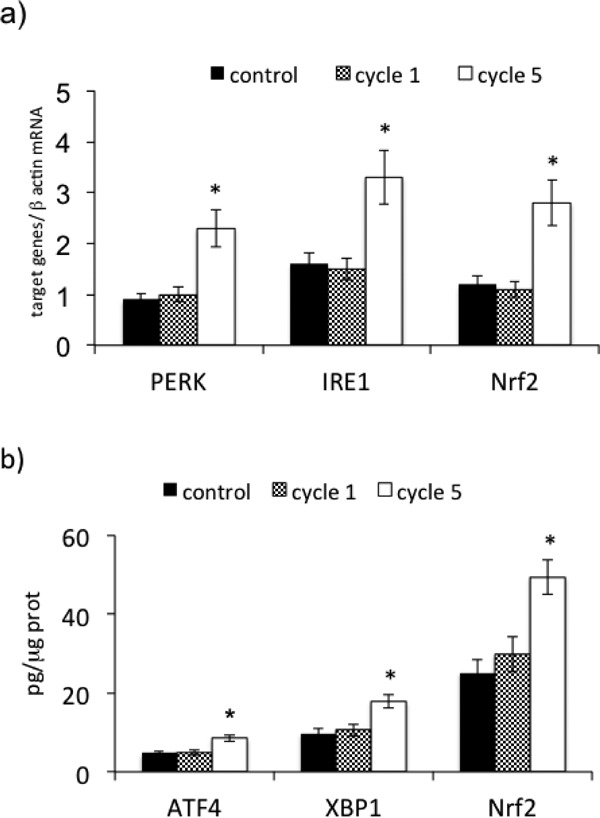 Fig. 6.