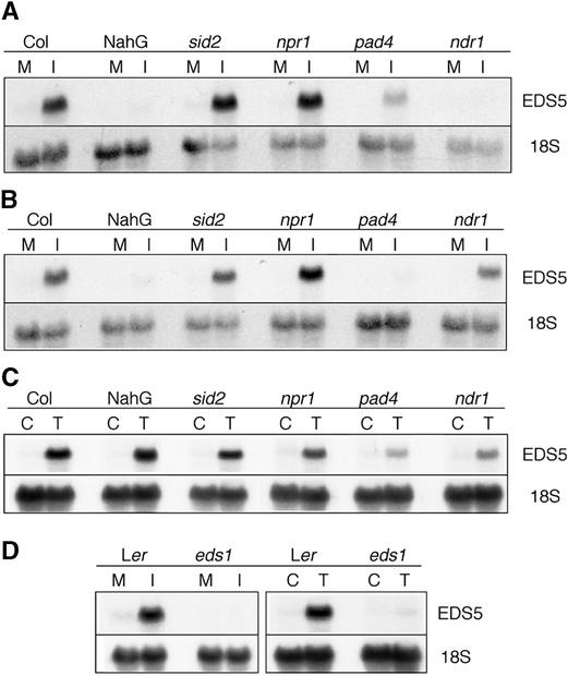 Figure 7.