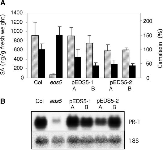 Figure 3.