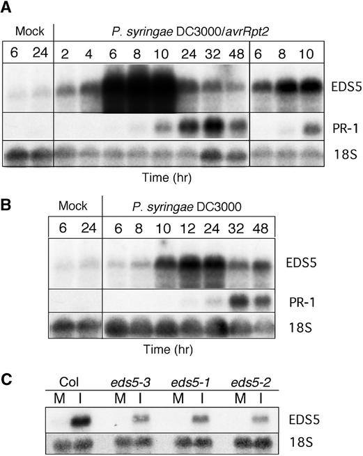 Figure 6.