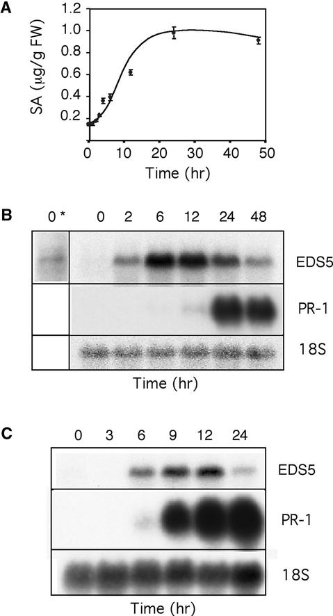 Figure 5.