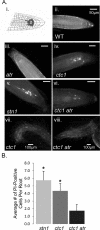 FIGURE 6: