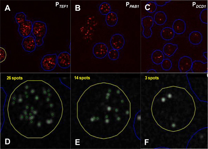 Figure 2.