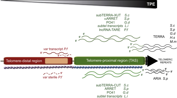 Fig. 3