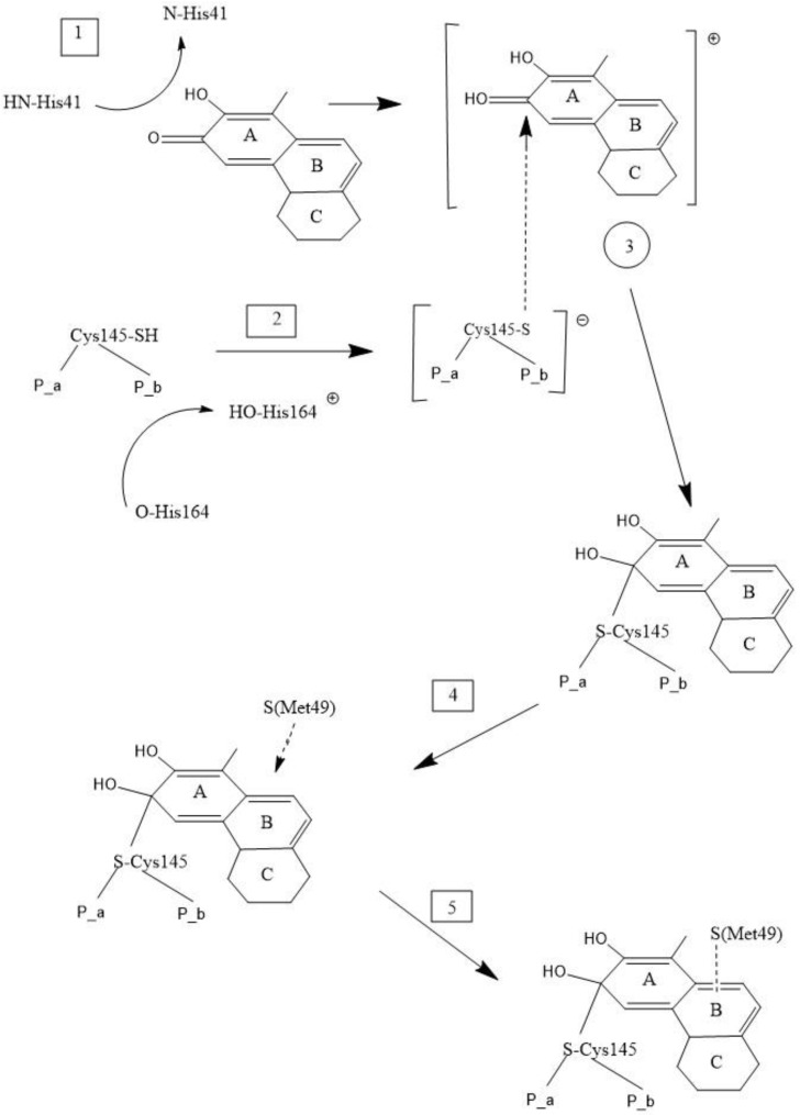 Scheme 2